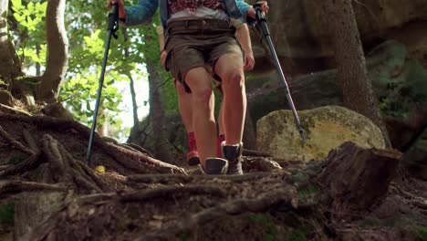 Low-section-of-couple-hiking