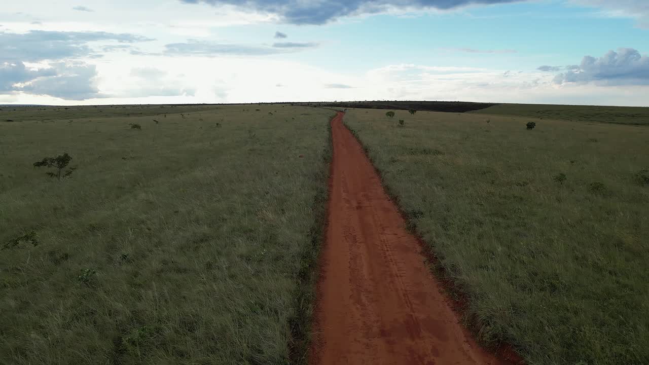 Vast landscape: red dirt road cuts through flat green Brazil Pantanal