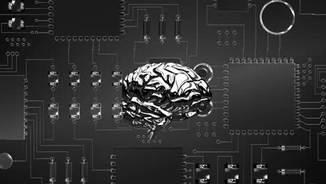 Brain and digital circuit