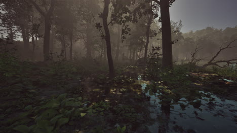 Rays-of-light-falling-through-the-mist-and-trees-in-the-swamp