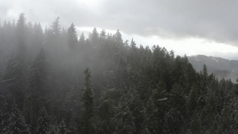 Aerial-shot-of-snow-falling-over-evergreen-forest,-Pacific-Northwest