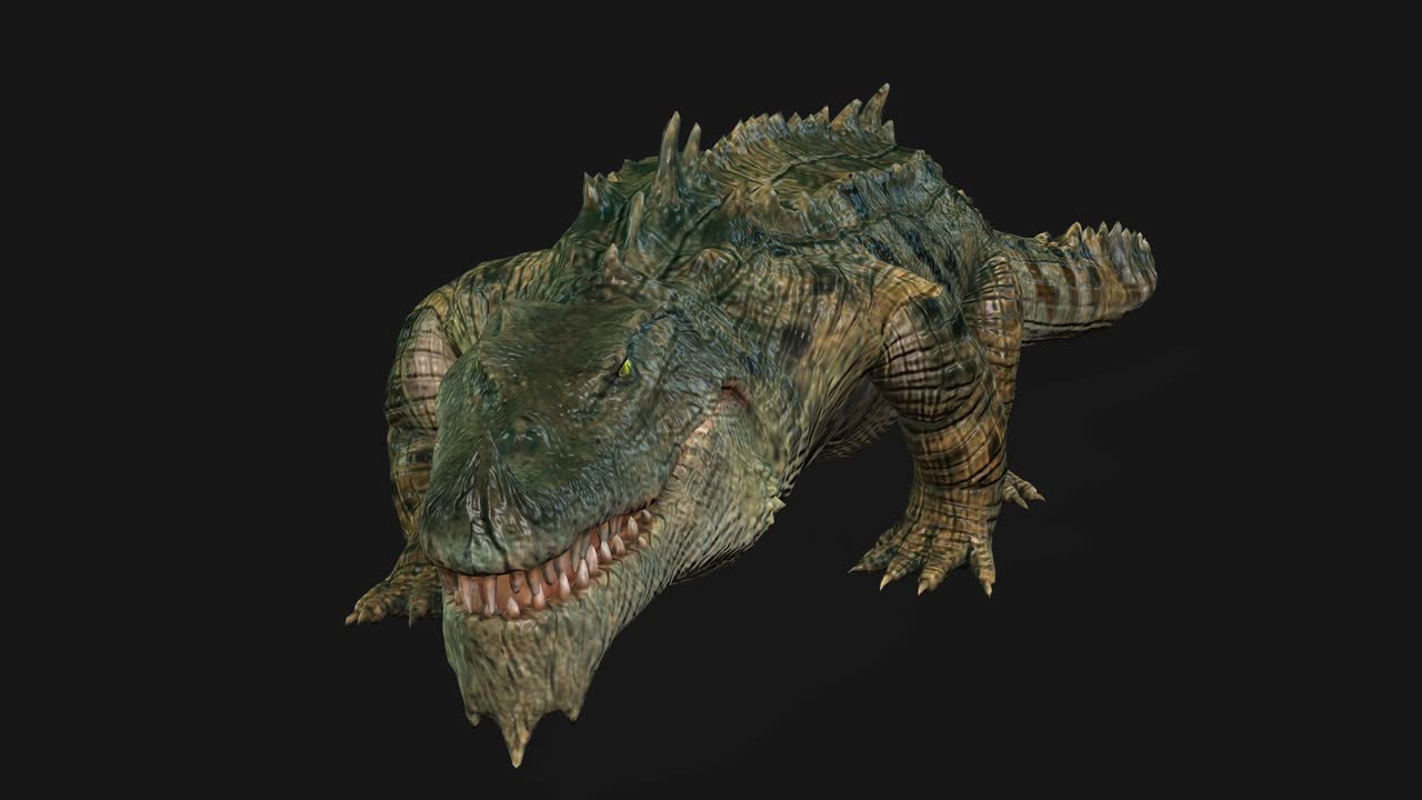 악어 기, 앞면 시우프리스 루프