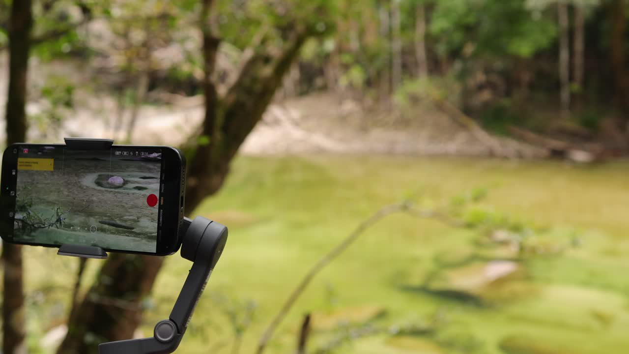 A smartphone on a gimbal captures a tranquil river in the Daintree rainforest, highlighting lush greenery and gentle water flow