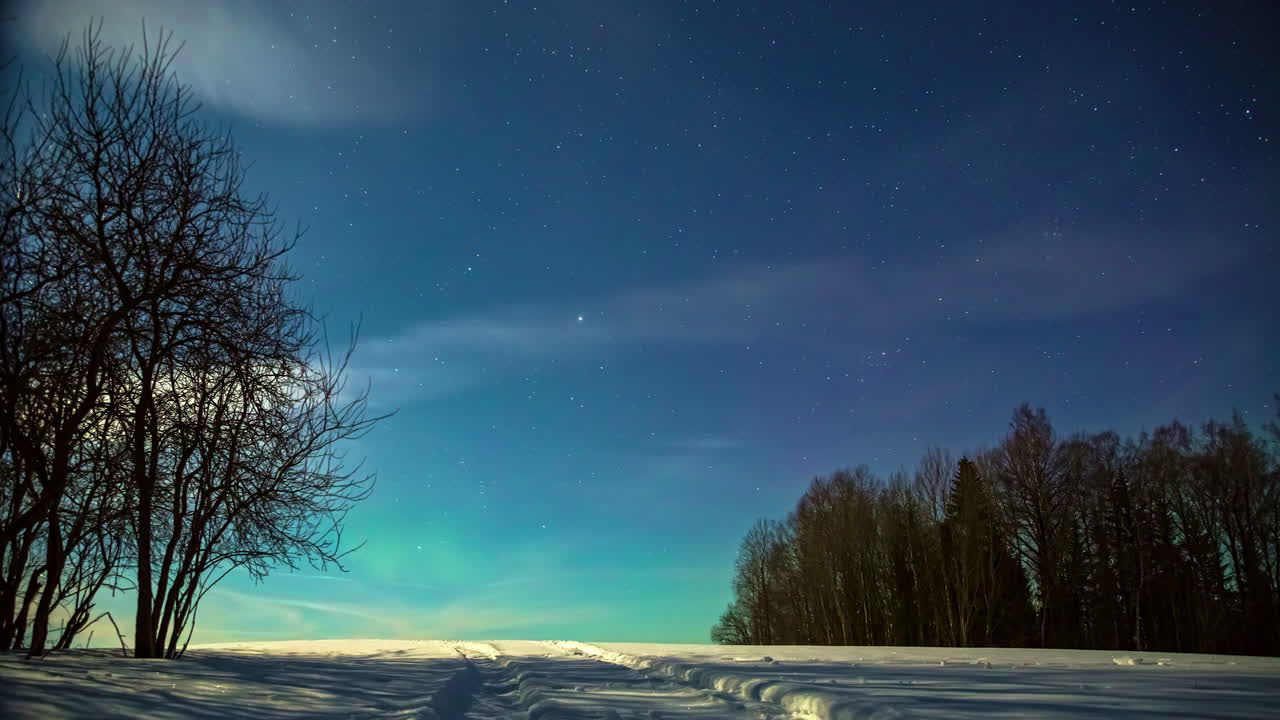 시골의 겨울 풍경 위에 별이 빛나는 밤하늘의 활기찬 노란색과 녹색 오로라