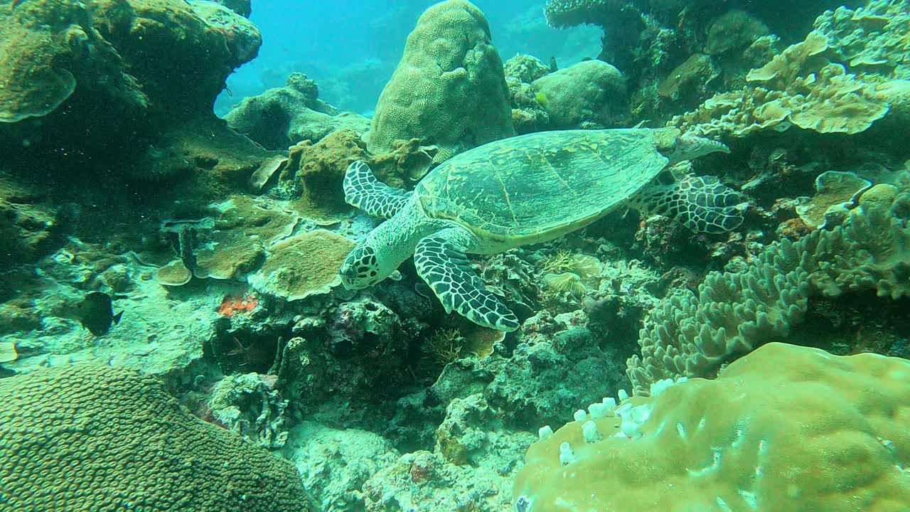 Premium stock video - Seen from a distance through an action camera ...