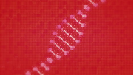 animation of dna strand on red background