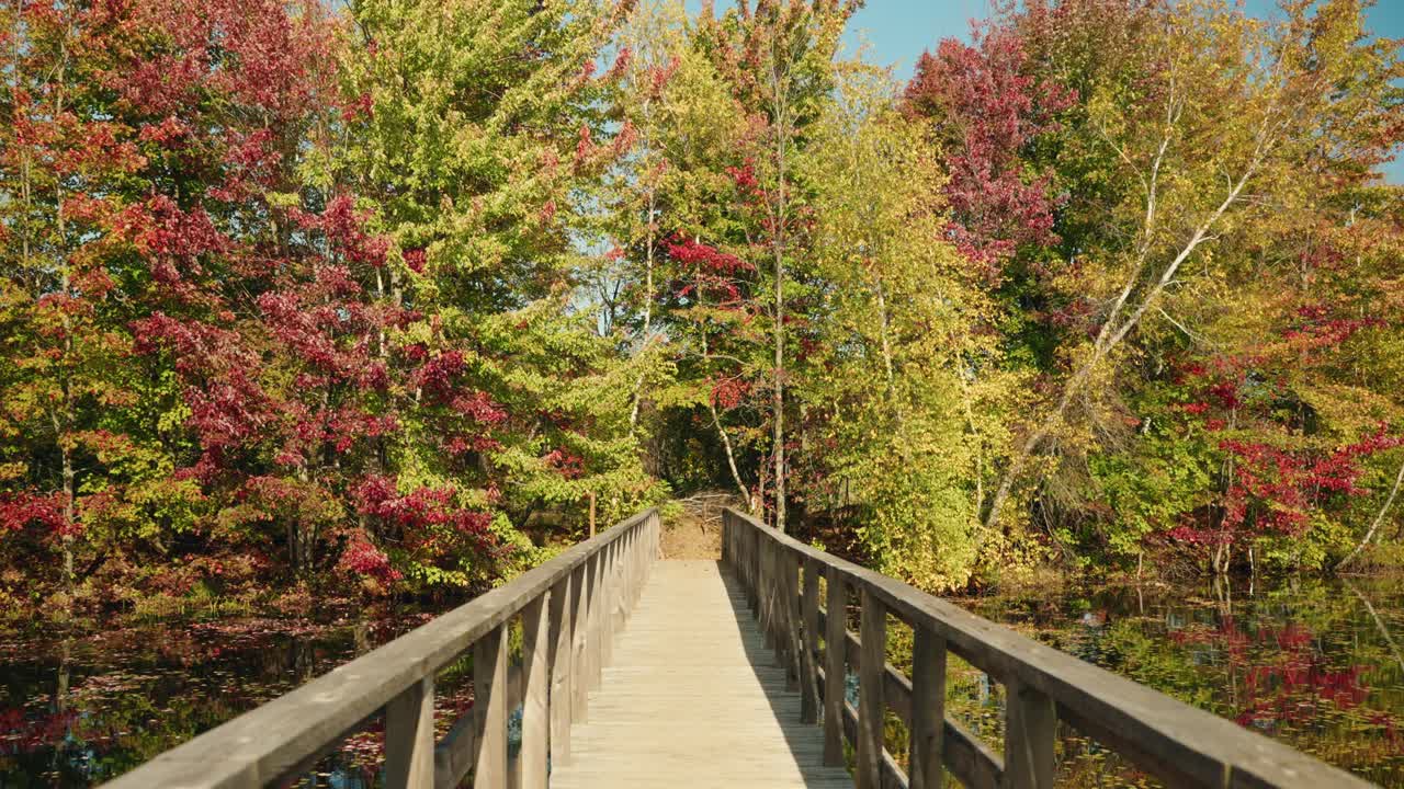 Wooden bridge crossing a vibrant forest with autumn foliage, North America, Quebec, Montreal, Canada.