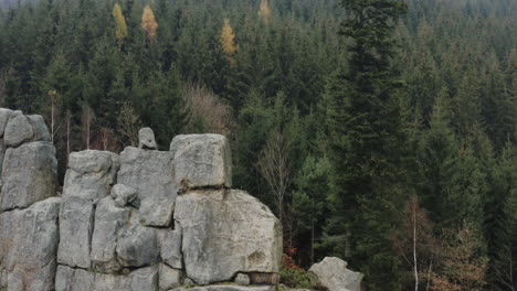 aerial shot of pristine nature forest landscape, large rock wall and green conifer trees cover mountain