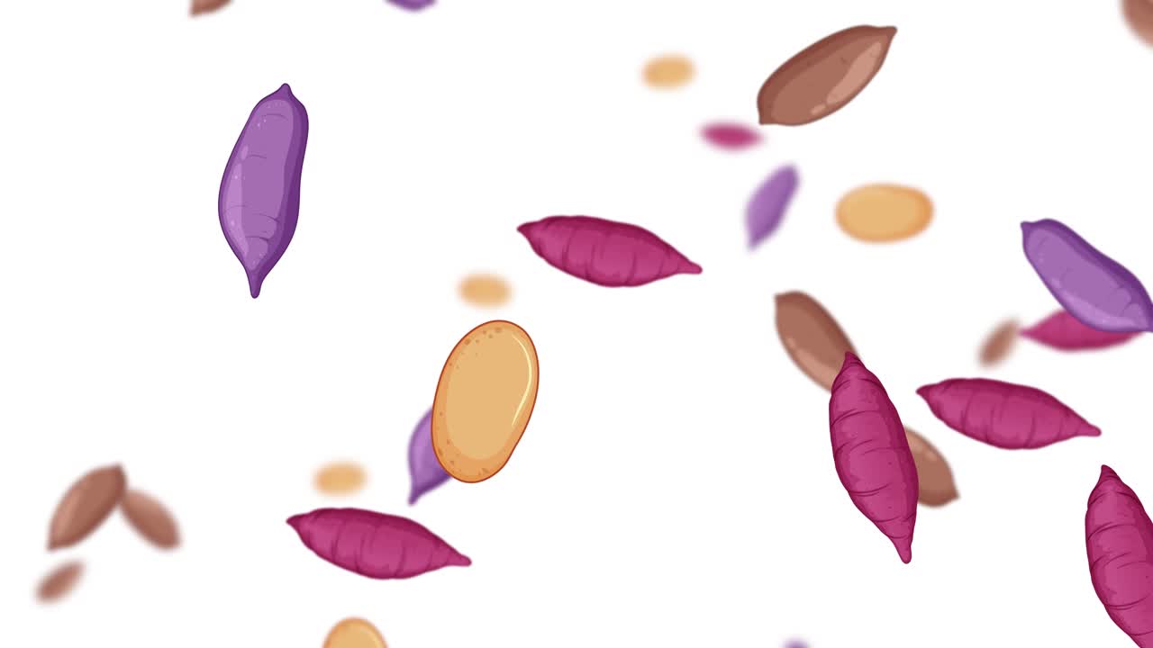 화려한 색의 감자는 우아하게 떨어집니다.