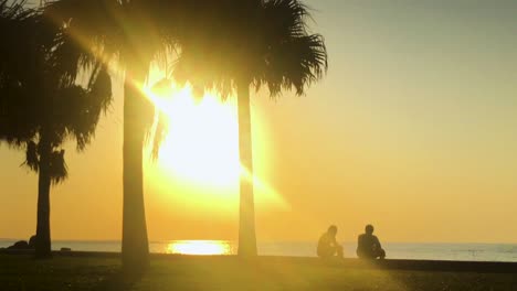 Lapso-De-Tiempo-De-Palmera-Y-Gente-Cerca-De-La-Playa