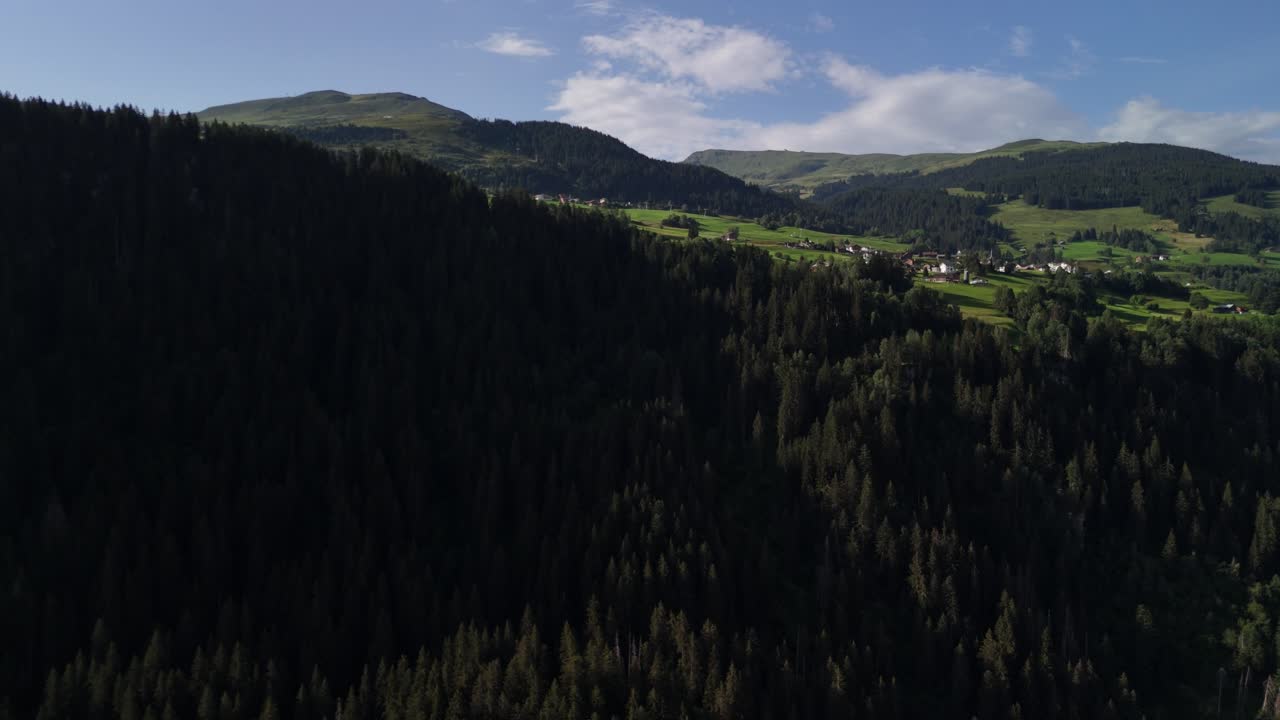 bosque de abeto de hoja perenne copa de árbol, paisaje aéreo paisaje natural suiza