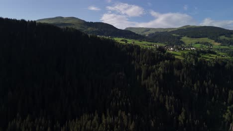 spruce evergreen forest tree canopy, aerial landscape nature landscape switzerland