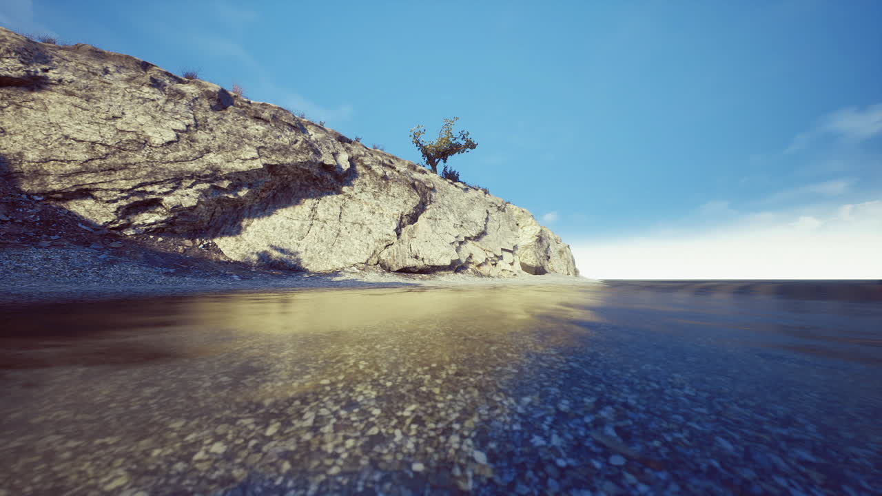 Fogliame solitario su una scogliera calcarea si riflette in acque basse e tranquille.