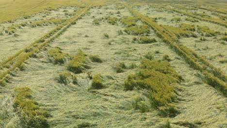 aerial overhead of grassland farm in the country