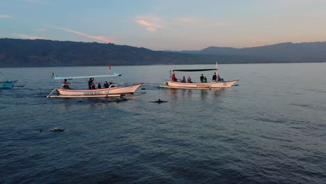 Antena-De-La-Manada-De-Delfines-Rompiendo-La-Superficie-Del-Océano-Azul-En-Lovina-Bali-Al-Amanecer