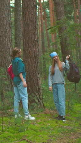 jóvenes excursionistas recuperan sus bolsas en un bosque pacífico, preparándose para continuar su viaje, rodeados de altos árboles y vegetación exuberante, recogen sus bolsas y las cuelgan sobre sus hombros