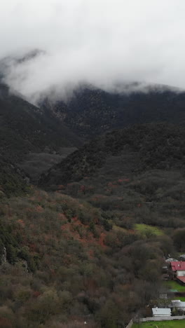 valle de montaña con niebla