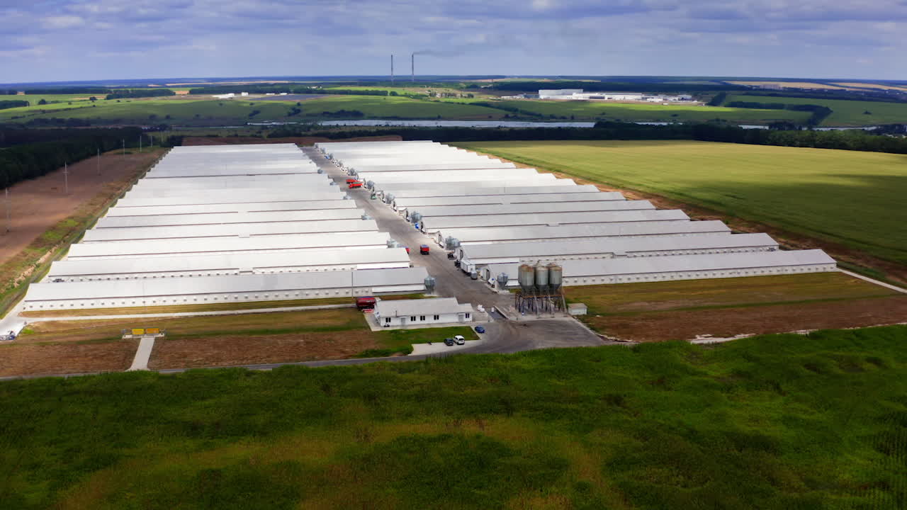 Modern poultry factory in nature. Farm buildings near agricultural field in summer landscape. White warehouses and livestock farm in the countryside. Aerial view.