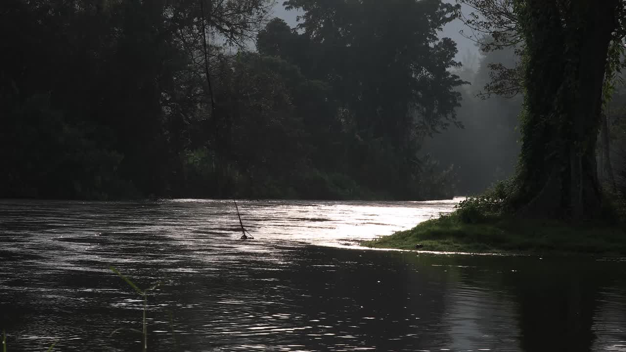 Silhouette 4K di un fiume che scorre circondato da alberi e foresta all'alba.