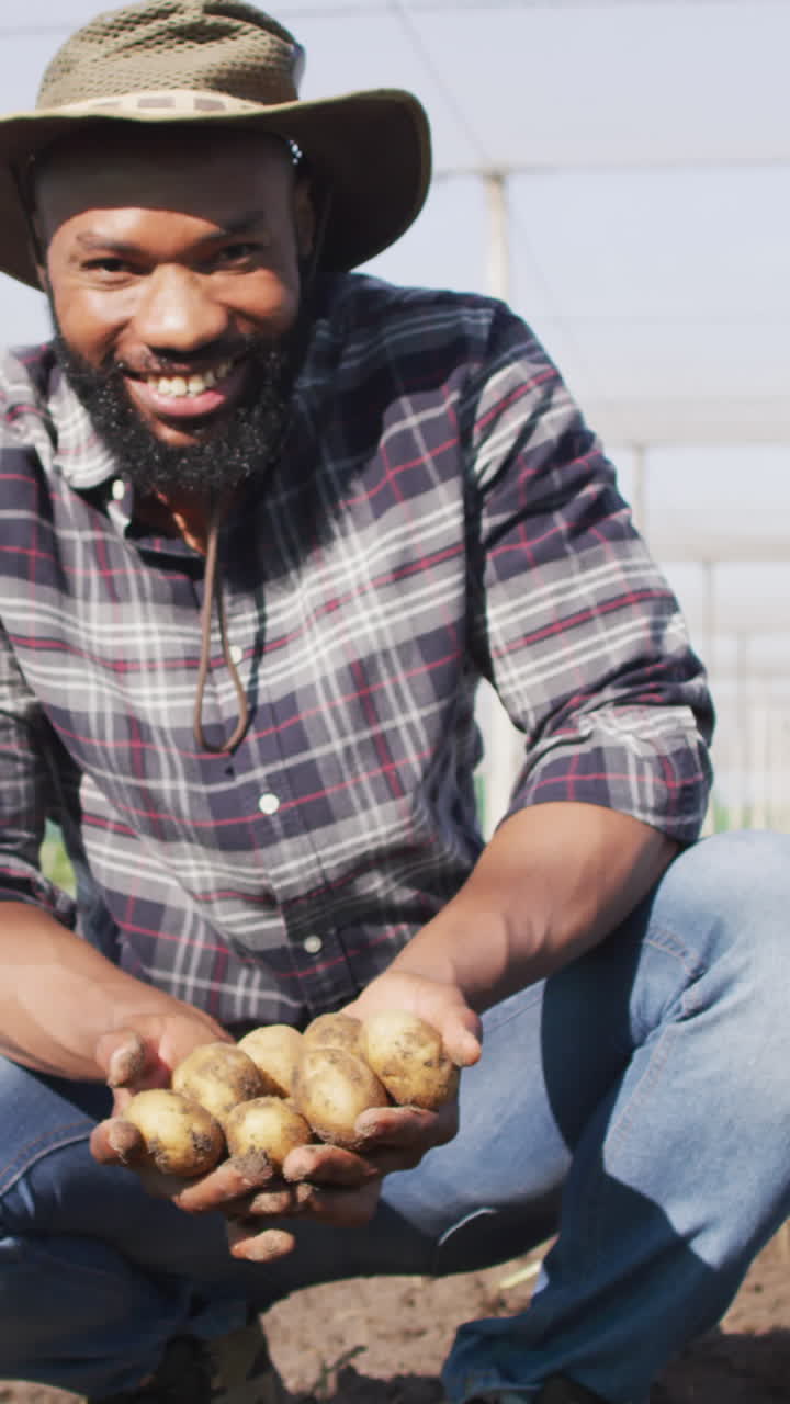 video de un feliz hombre afroamericano sosteniendo patatas en un invernadero