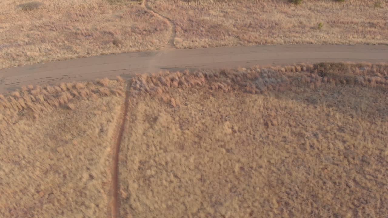antena de una antigua pista de carreras abandonada con un árbol al azar en una toma