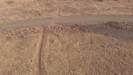 AERIAL-of-old-abandoned-race-track-with-a-random-tree-in-shot