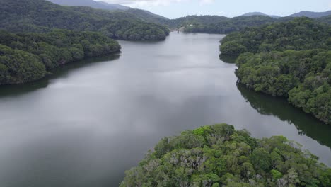 Volando-Sobre-La-Densa-Selva-Tropical-Alrededor-De-La-Presa-De-Copperlode-En-Queensland,-Australia