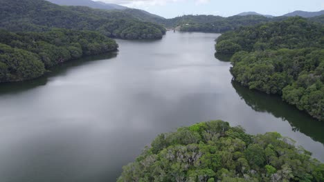 volando sobre la densa selva tropical alrededor de la presa de copperlode en queensland, australia