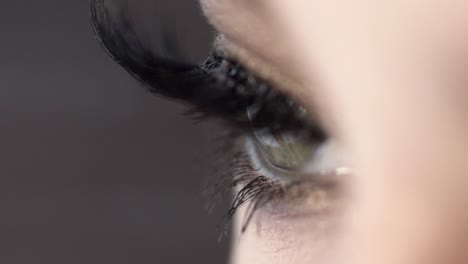 close-up of woman's eye with makeup