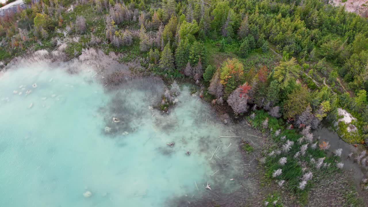 Aerial drone view of a turquoise shoreline bordered by dense green forest with early autumn colors