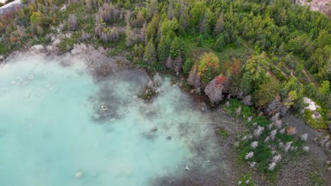 aerial drone view of a turquoise shoreline bordered by dense green forest with early autumn colors