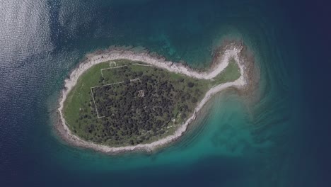 top aerial view of small desert fish shaped island gaz in brijuni islands, istria, croatia. untouched log format