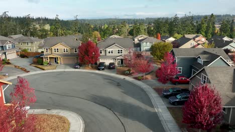 drone shot passing through a suburban american neighborhood with beautiful red leaves on all of the trees