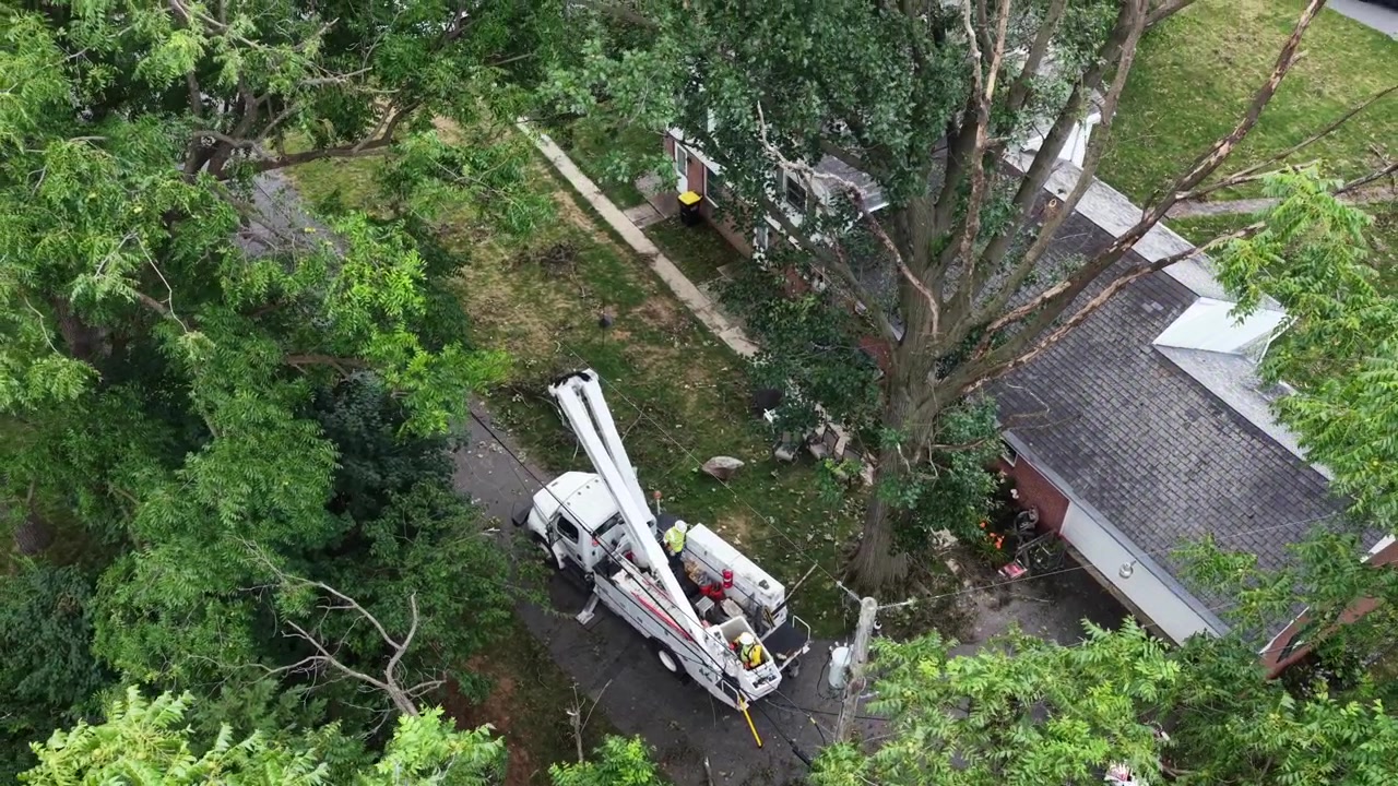 Liftbil strækker sig mod sammenfiltrede elledninger under stort træ nær murstenshus i Manheim Township, Pennsylvania, mens arbejdere rydder stormaffald fra indkørslen nedenfor. Dronebillede set oppefra.
