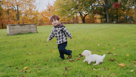 Carefree-baby-runs-with-his-puppies-on-the-green-lawn