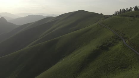 green mountains of iraty illuminated by sunlight, france