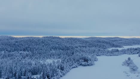 aerial view of winter landscape with forest and cabins covered with snow in indre fosen, norway - drone shot