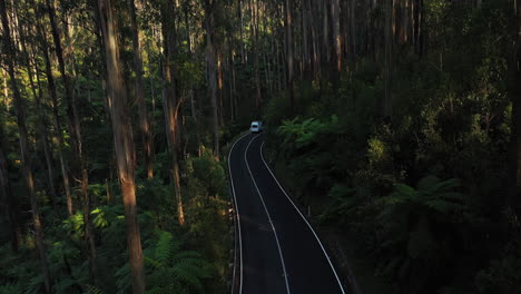 slow aerial view of white van driving through a forest on a road, australia