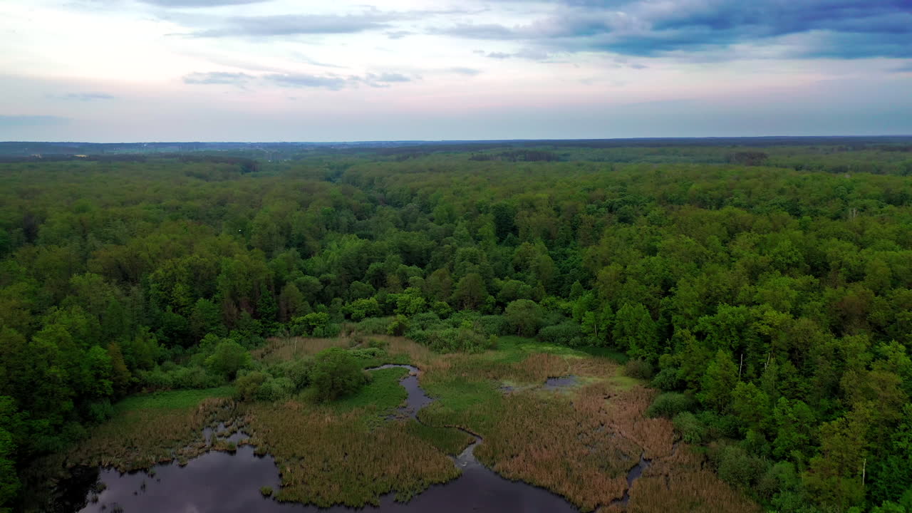 Flight over the natural background of a small lake in the forest in summer. Aerial view of the forest and a wetplace among the green trees. Camera moves back.