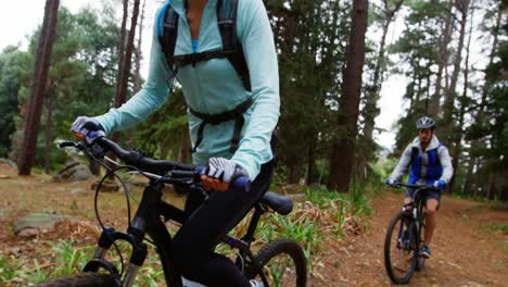 pareja en bicicleta juntos
