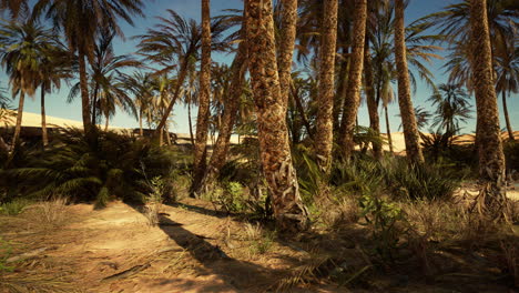 paisaje de oasis con palmeras