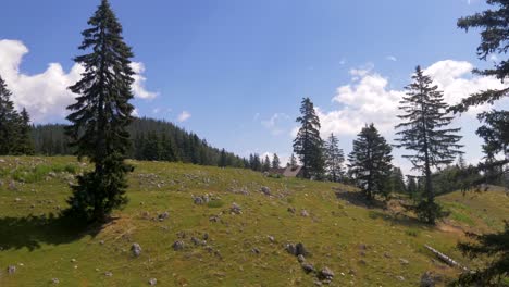 piatra craiului, brasov country, romania, transylvania 4k