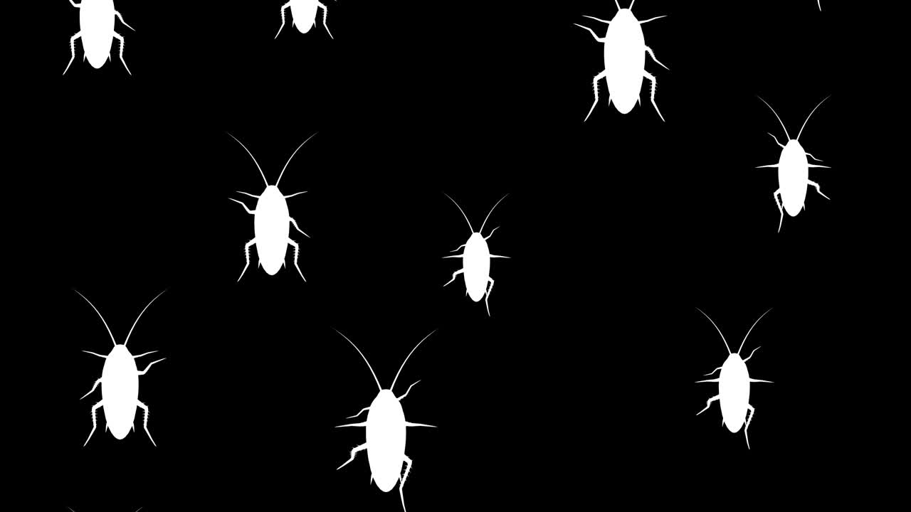 las cucarachas suben corriendo.