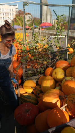mujer recogiendo calabazas en un mercado de agricultores