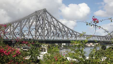 Story-Bridge-En-Brisbane-Con-Buganvillas,-Panorámica-Lenta-De-Izquierda-A-Derecha