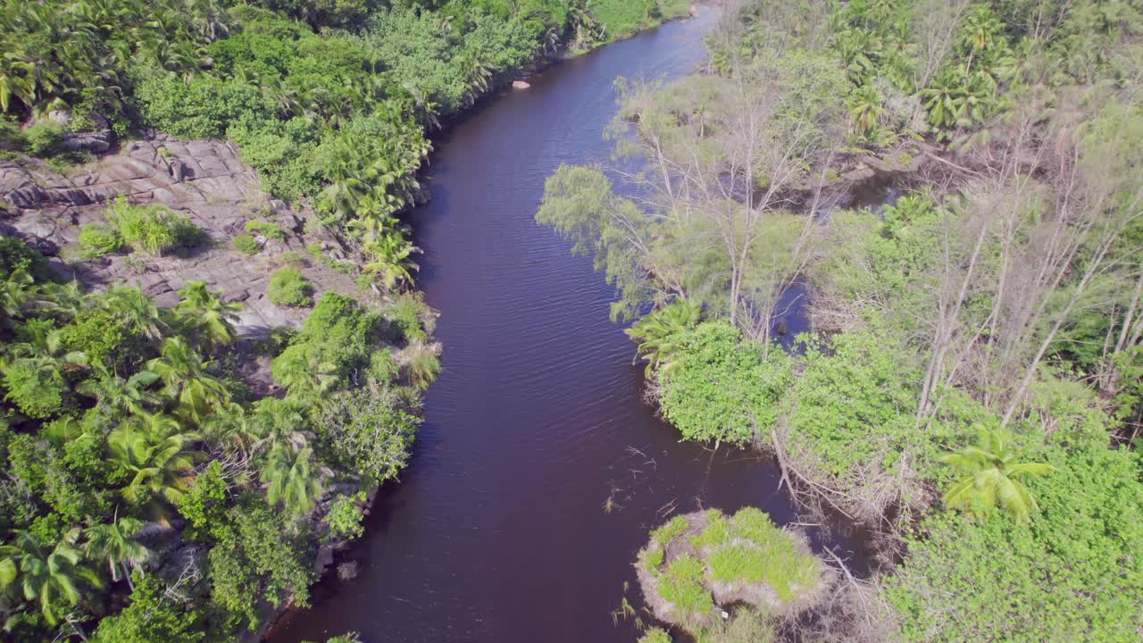 Drone footage of the Police bay mangrove, Mahe Seychelles, 30fps 4