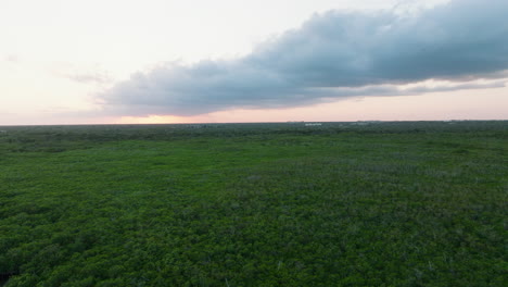 aerial pull back shot of a green landscape with dense vegetation and soft cloud-filled sky highlighting the natural beauty in mexico.