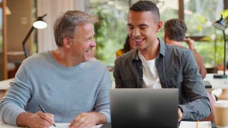 mature businessman mentoring younger male colleague working on laptop at desk