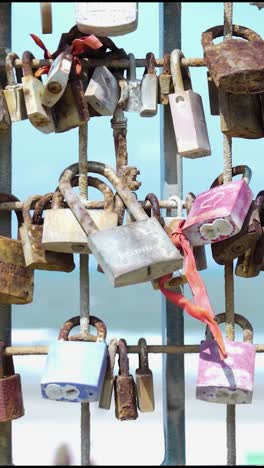 love locks on a fence by the beach