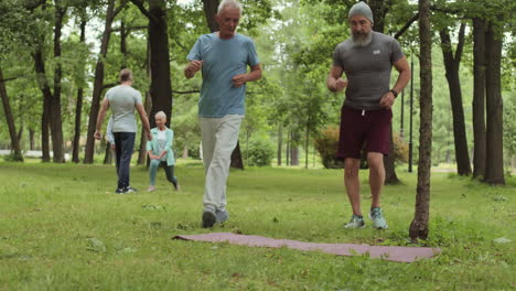 senior men exercising in park